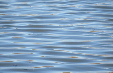 Ripples on light blue glossy water surface with sun glare