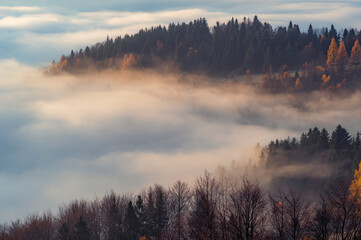 Het mistige landschap van de herfstbergen in de ochtend, de bergen van Polen, Beskidy