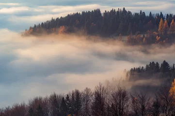 Crédence en verre imprimé Forêt dans le brouillard Paysage brumeux de montagnes d& 39 automne pendant le matin, Pologne, montagnes de Beskidy