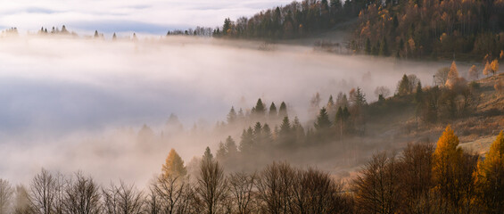 Misty mountain forest landscape in the morning, Beskid Sadecki mountain range, Poland.