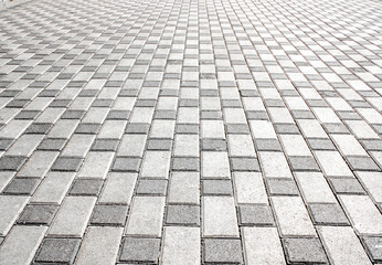 Path, paved with paving tiles