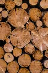 Fototapeta premium Cross section of the timber, cut trees, firewood stack for the background. Close up pile of logs background.