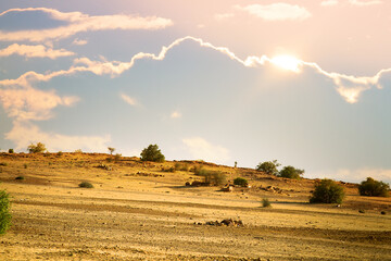 Rajasthan Desert and traces of ancient settlements