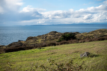 Gorgeous view of the grassy coastline on San Juan Island on a bright, sunny day with puffy white clouds