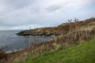 Gorgeous view of the grassy coastline on San Juan Island on a bright, sunny day with puffy white...