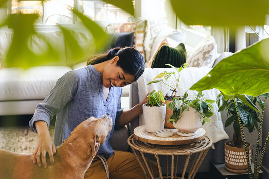 Woman With Dog By Plants At Home