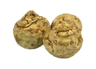 Single celery root isolated on a white background
