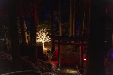Illuminations of Lake Towada, winter story of light