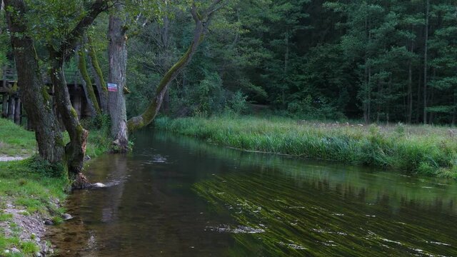 Czarna Hancza, the largest river of the Suwalki Region of north-eastern Poland
