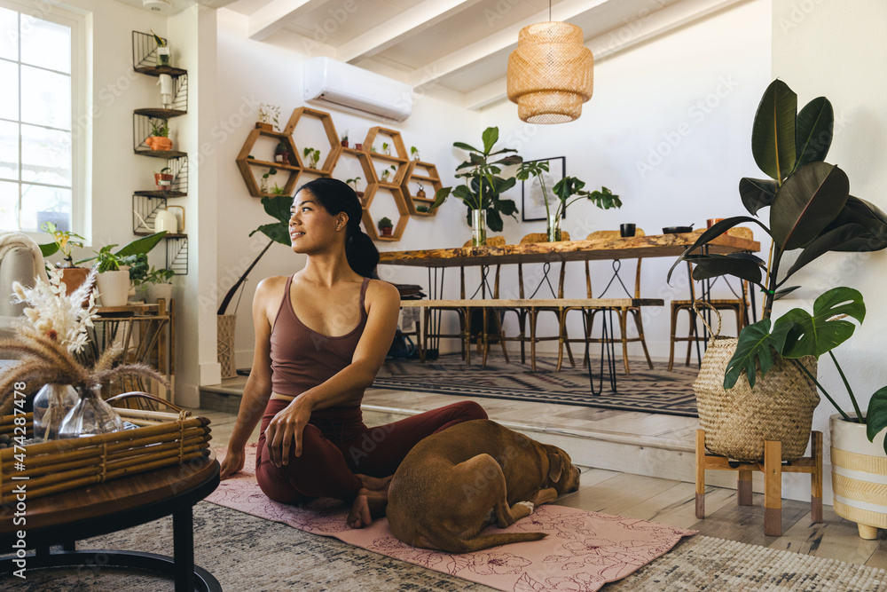 Wall mural young woman doing yoga by dog at home