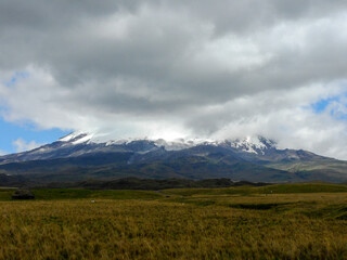 Fototapeta premium Antisana Ecological Reserve, Antisana Volcano, Ecuador