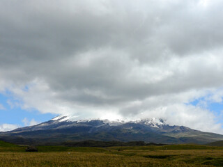 Fototapeta premium Antisana Ecological Reserve, Antisana Volcano, Ecuador