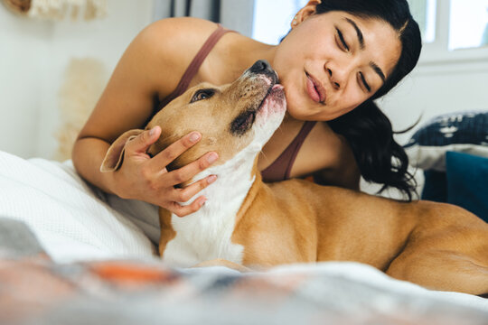 Dog Licking Face Of Woman On Bed At Home