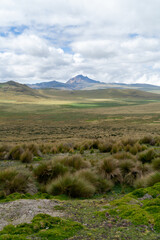 Antisana Ecological Reserve, Antisana Volcano, Ecuador