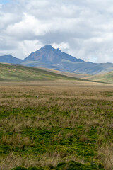 Fototapeta premium Antisana Ecological Reserve, Antisana Volcano, Ecuador