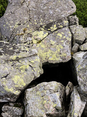 stone wall with moss