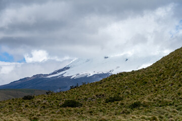 Antisana Ecological Reserve, Antisana Volcano, Ecuador