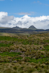 Fototapeta premium Antisana Ecological Reserve, Antisana Volcano, Ecuador
