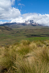 Antisana Ecological Reserve, Antisana Volcano, Ecuador
