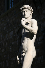 David statue in Florence, Italy.