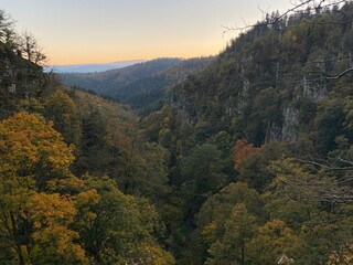 autumn forest in the mountains