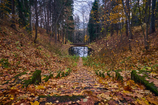 Komarovo Bilder Durchsuchen 316 Archivfotos, und