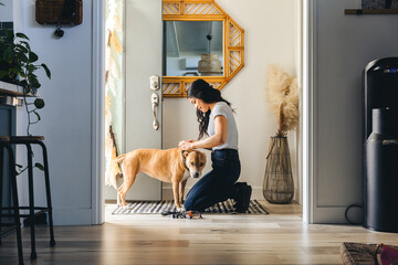 Woman Adjusting Collar Of Dog At Home