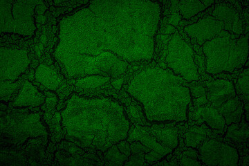 fond peinture séchée, craquelée vert