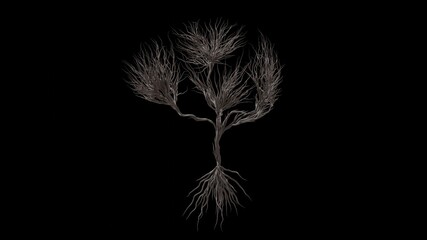 Tree in a shape of a human brain. Seasonal transition on black background. Eco Concept.