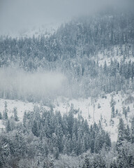 Foggy mountainside, Kranjska Gora, Gorenjska region, Slovenia