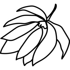 Floral line design for fabric 