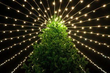 Huge Christmas tree is illuminated with many lights and filmed from below in the evening. Low angle footage of festive pine and garlands hanging over it. Concept of celebrating winter holidays outdoor
