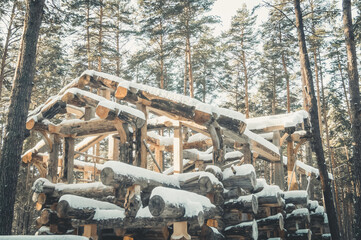 Construction of a country house from logs in winter. Unfinished cottage in the forest. Selective...