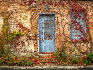 Fototapeta na wymiar Old building with ivy covering the door and window shutters and a textured wall, Brittany, France