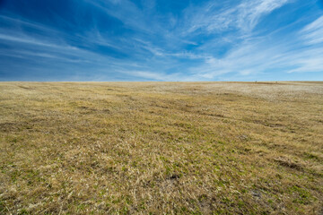 Straw coloured grassland and blue sky