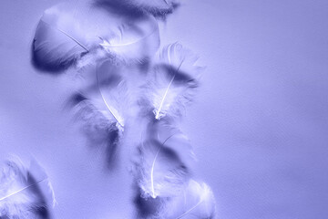 Beautiful airy gentle natural background with white swan feathers macro. Trendy color very peri. Light pastel pink backdrop.