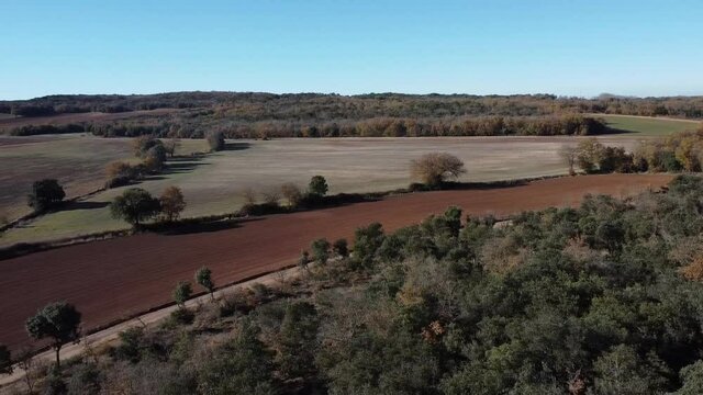 Stock video, drone view of field, road and forest