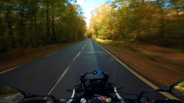 A scenic motorcycle ride at fall, in the French forest of Rambouillet in October, on a beautiful golden road