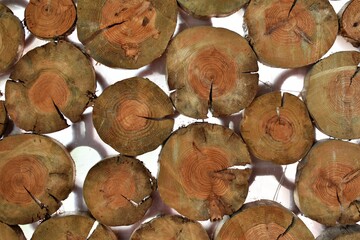 Pieces of chopped wooden log adorn a wall. Decorative background. Abstract texture