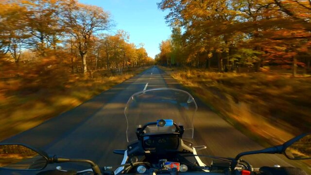 A scenic motorcycle ride at fall, in the French forest of Rambouillet in October, on a beautiful golden road