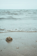 sea and sand