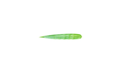 One bamboo leaf horizontal isolated on white background with clipping path