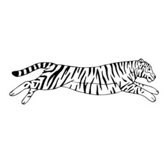 Fototapeta na wymiar Vector hand drawn doodle sketch jumping tiger isolated on white background