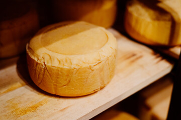 Whole wheel cheese on shelves from the Netherlands
