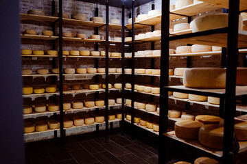 Whole wheel cheese on shelves from the Netherlands