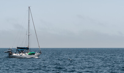 Fototapeta premium sail boat at sea