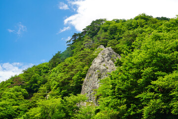 福島県・白河市権田倉山の聖が岩