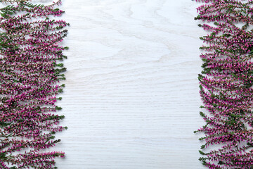 Heather branches with beautiful flowers on white wooden table, flat lay. Space for text