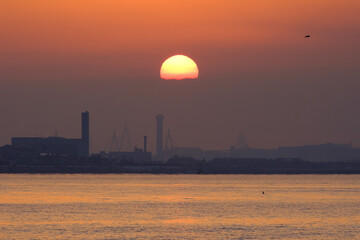 早朝、兵庫県芦屋市芦屋浜から大阪湾の日の出を臨む。あたりはオレンジ色に染まり、太陽の光が海に落ちてキラキラ輝く