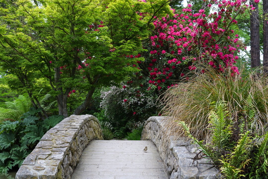 stone bridge in garden with flowers